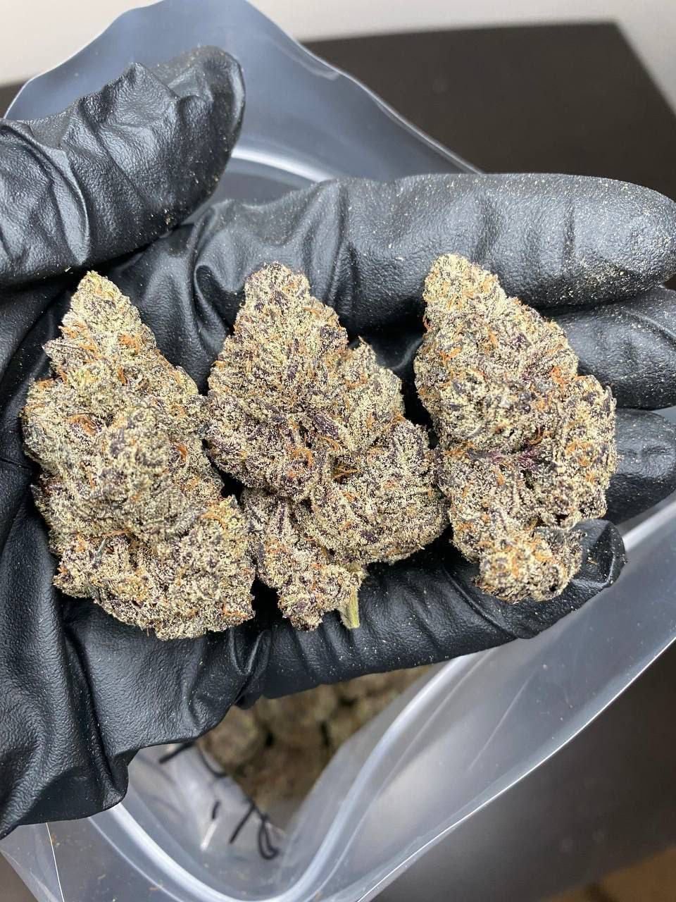 buy kush online